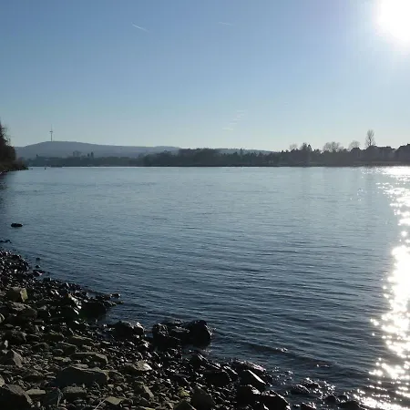 Appartamento Cozy In Urbar With A River View *